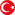 Türkçe
